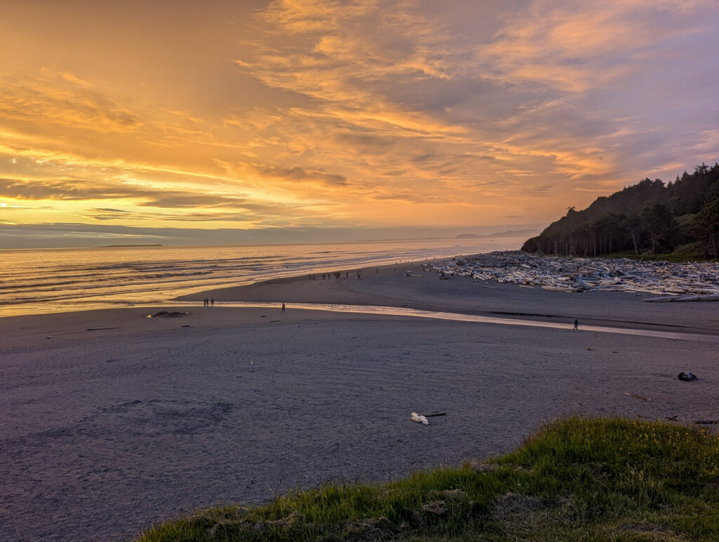 Kalaloch beach at sunset with golden clouds reflected in wet sand, forested bluffs, and scattered beachgoers, Olympic National Park