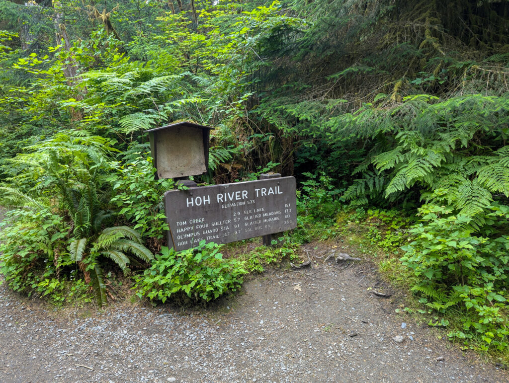 A trail sign for Hoh River Trail surrounded by lush ferns and moss-covered trees in Olympic National Park, Washington on an overcast day.