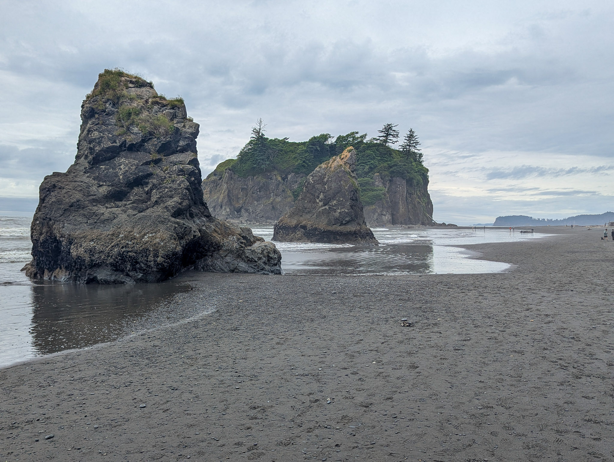 Olympic National Park: Ten Days Where the Rainforest Meets the Sea