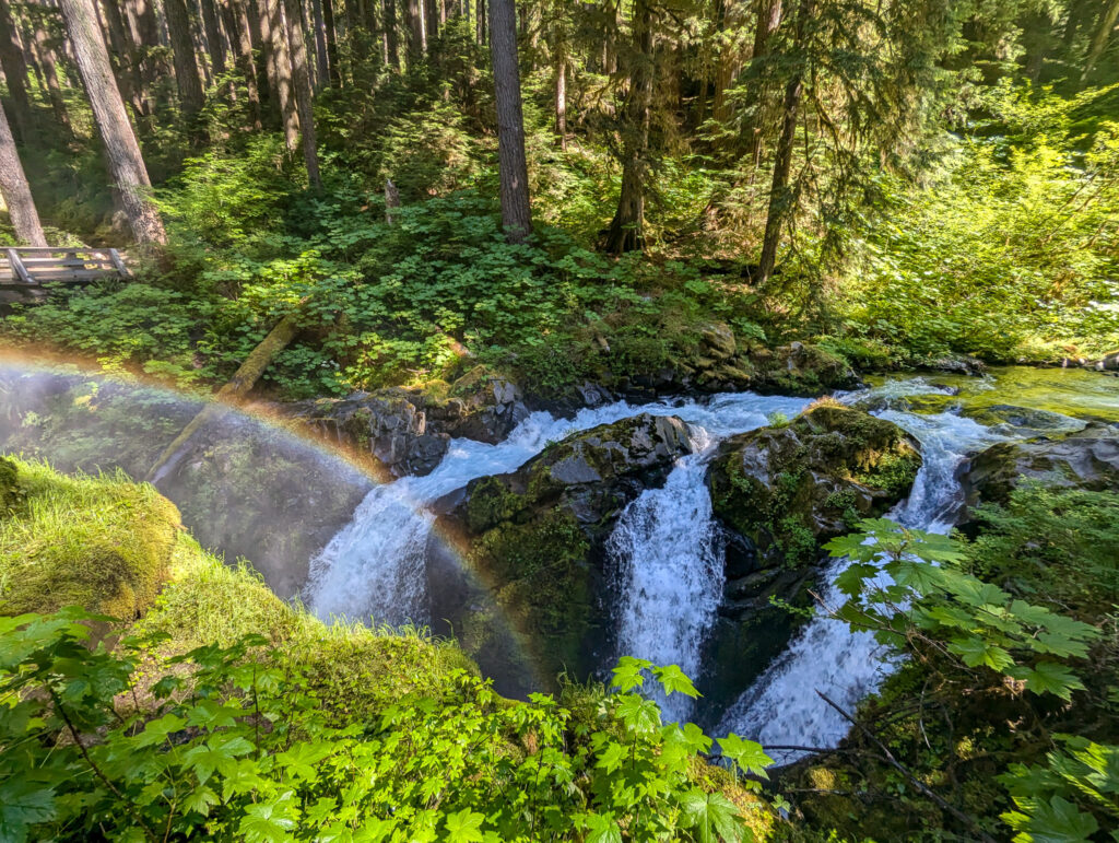 Sol Duc Falls cascades over moss-covered rocks creating a rainbow in the mist, surrounded by lush Pacific Northwest forest in Olympic National Park, Washington