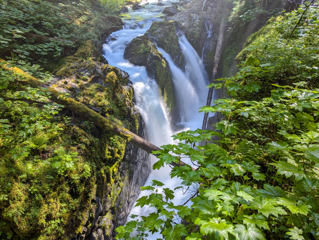 Sol Duc Falls cascades through moss-covered basalt rocks surrounded by lush Olympic National Park vegetation in soft daylight