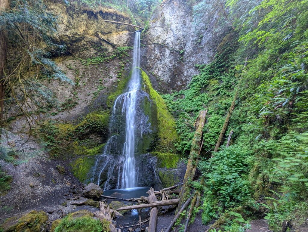 Marymere Falls cascades down moss-covered basalt cliffs in Olympic National Park, Washington, under soft daylight