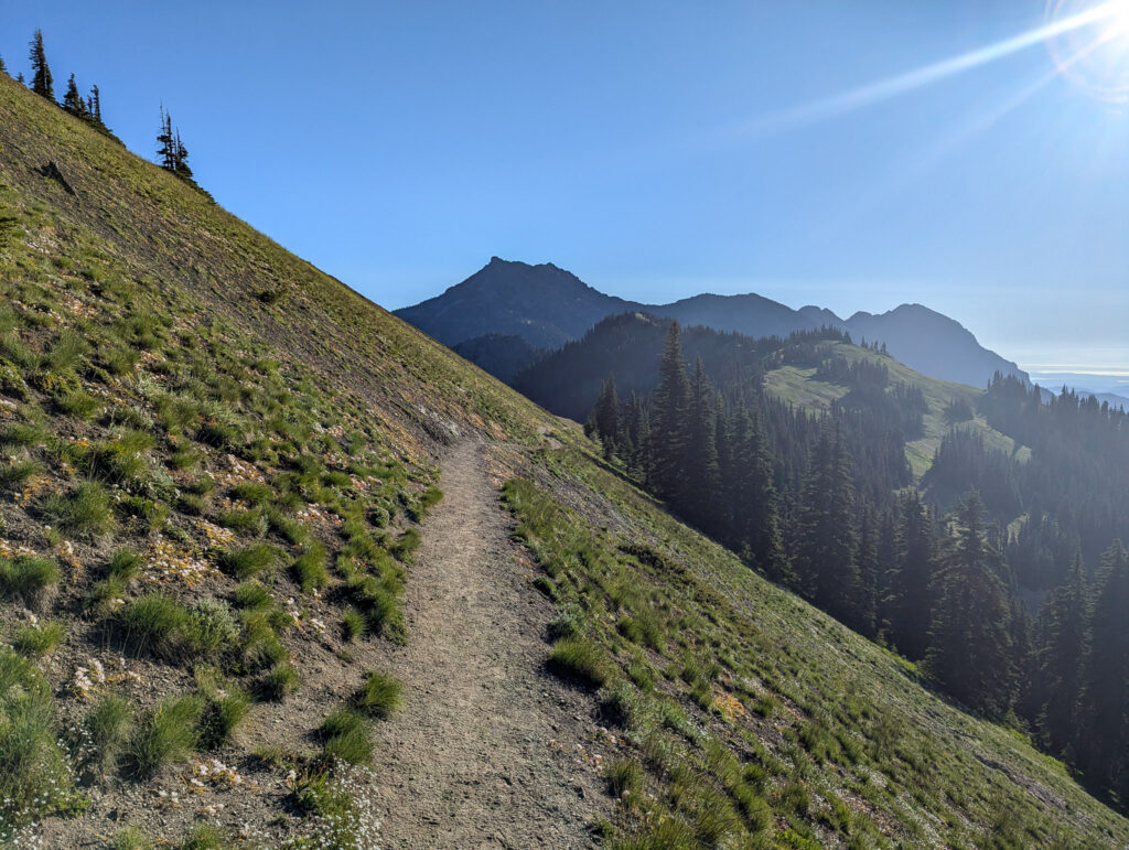 A dirt hiking trail cuts diagonally across a grassy mountainside slope with layered mountain ridges under clear blue sky in bright daylight in Olympic National Park on Hurricane Ridge