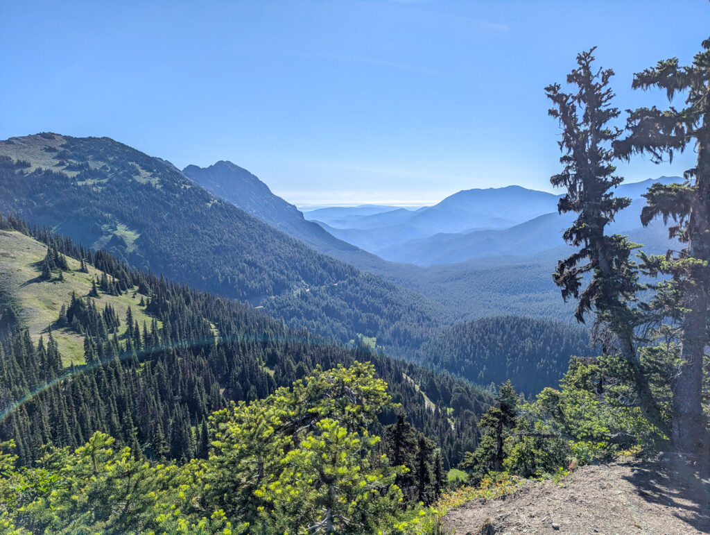 Mountain valley view with layered forested ridges extending into distance under clear blue midday sky, taken from elevated rocky viewpoint on Hurricane Ridge in Olympic National Park