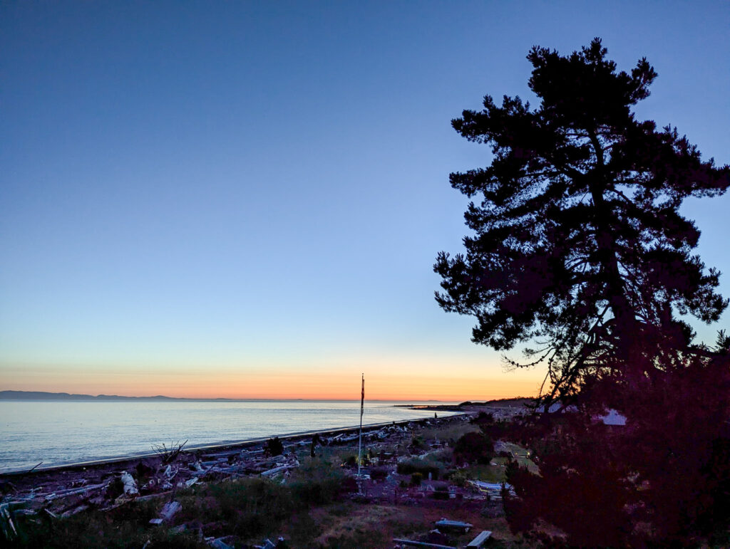 Strait of San Juan de Fuca shoreline at sunset with large coniferous tree silhouetted against orange and blue twilight sky over calm water
