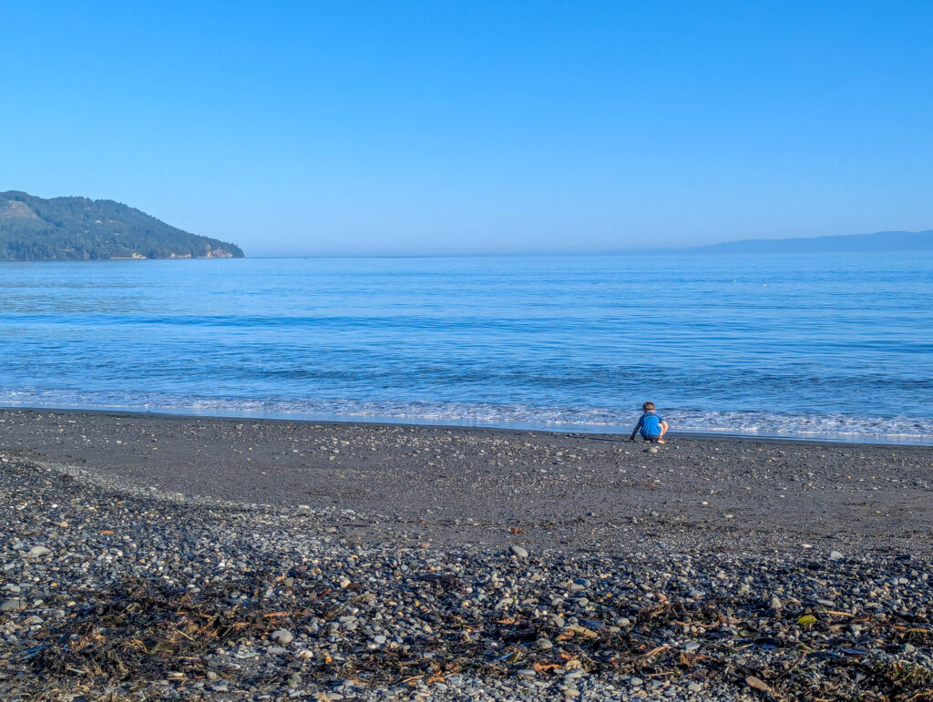 A child picks rocks on the shore of Strait of San Juan de Fuca with forested hills visible across the calm blue water on a clear day