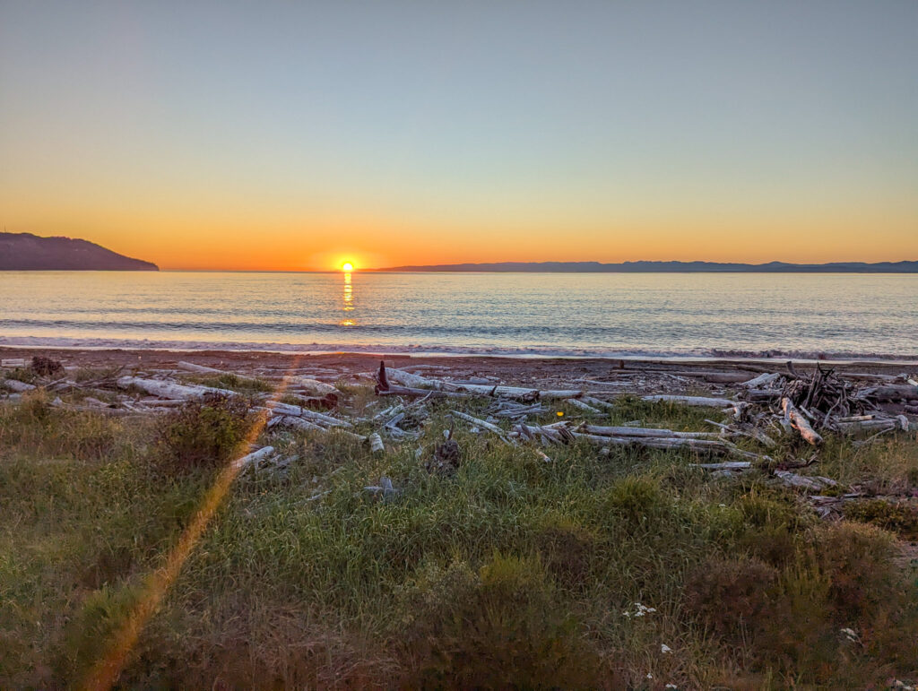 Strait of San Juan de Fuca coastline at sunset with driftwood scattered across grassy dunes, orange sky reflecting on ocean waves