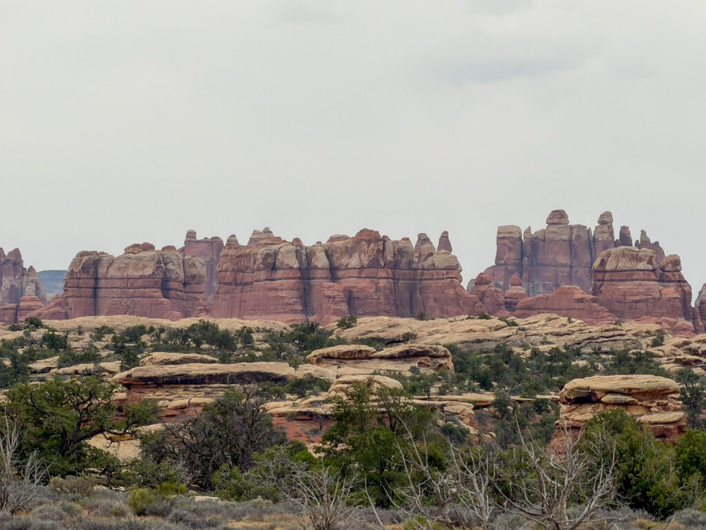 Panoramic view of The Needles district in Canyonlands National Park, with Cedar Mesa sandstone spires rising above desert scrub under an overcast sky.