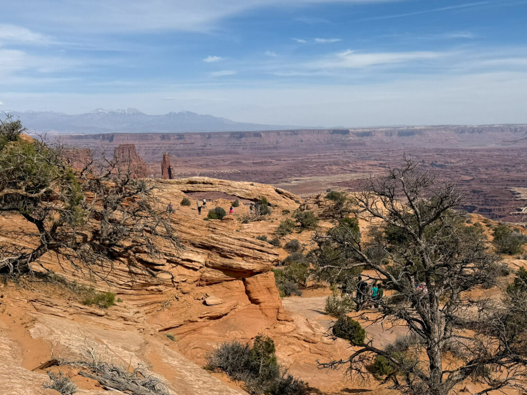 Wide view of Mesa Arch in Canyonlands with visitors along the rim and snow-capped La Sal Mountains on the horizon.