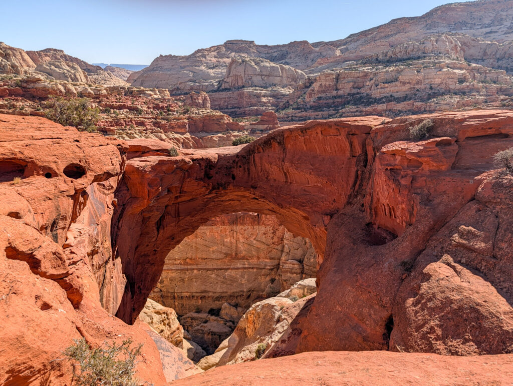 Looking straight down into Cassidy Arch, the sweeping red Wingate sandstone span curves over a deep bowl with Capitol Reef's layered mesas stretching beyond.