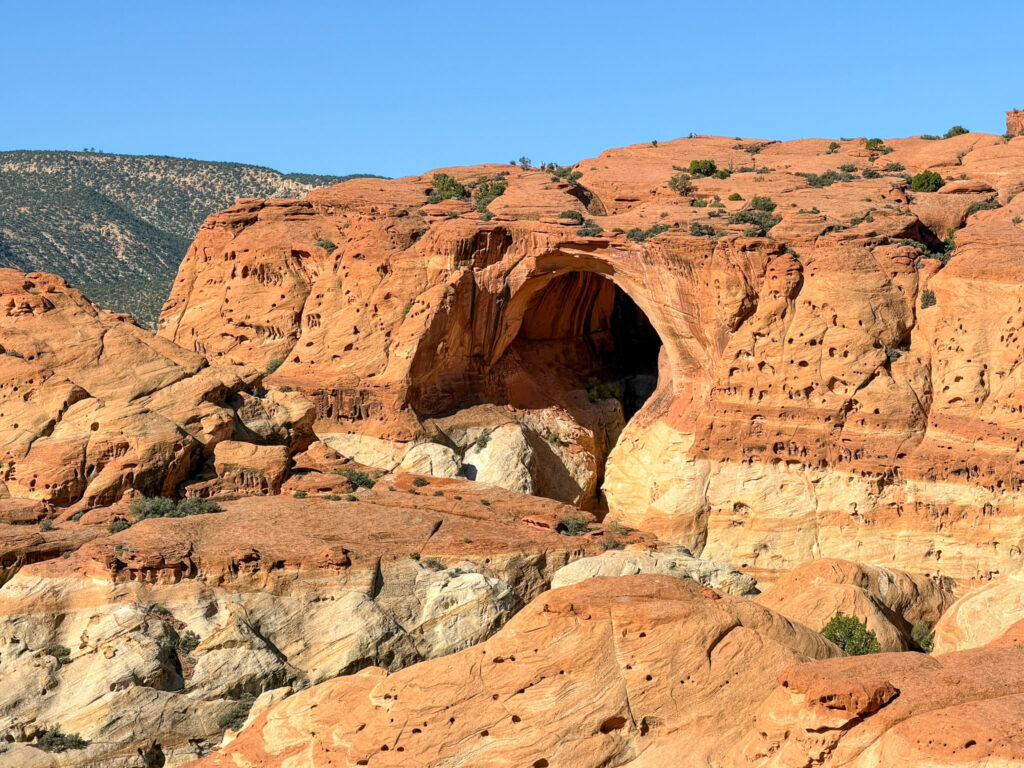 Hickman Natural Arch rises from eroded red Navajo sandstone cliffs in Capitol Reef, framed by sparse desert shrubs and a clear blue sky.