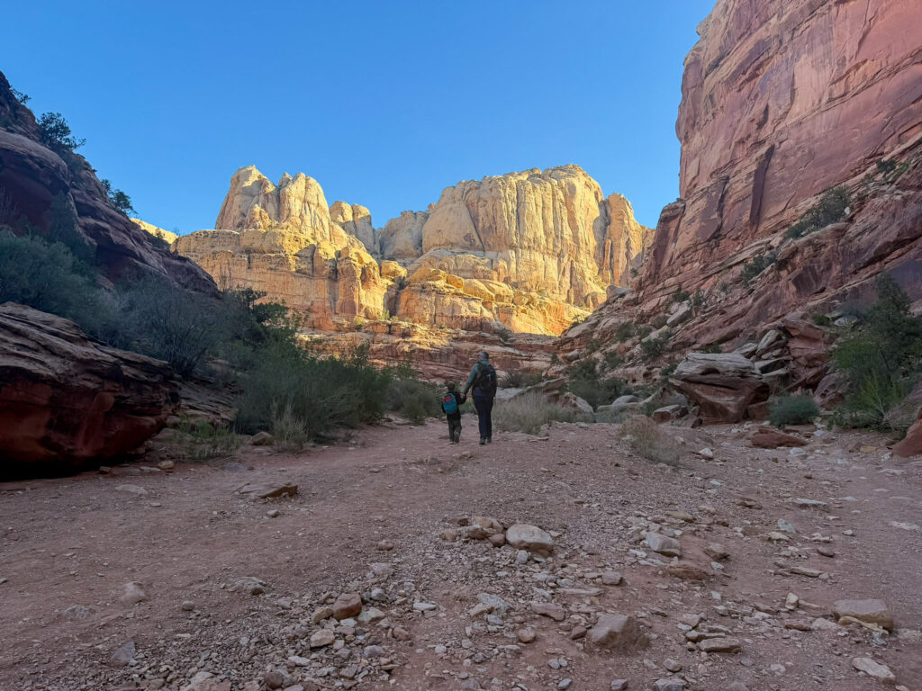 An adult and young child hike hand-in-hand along Cohab Canyon Trail beneath towering sandstone formations in Capitol Reef.