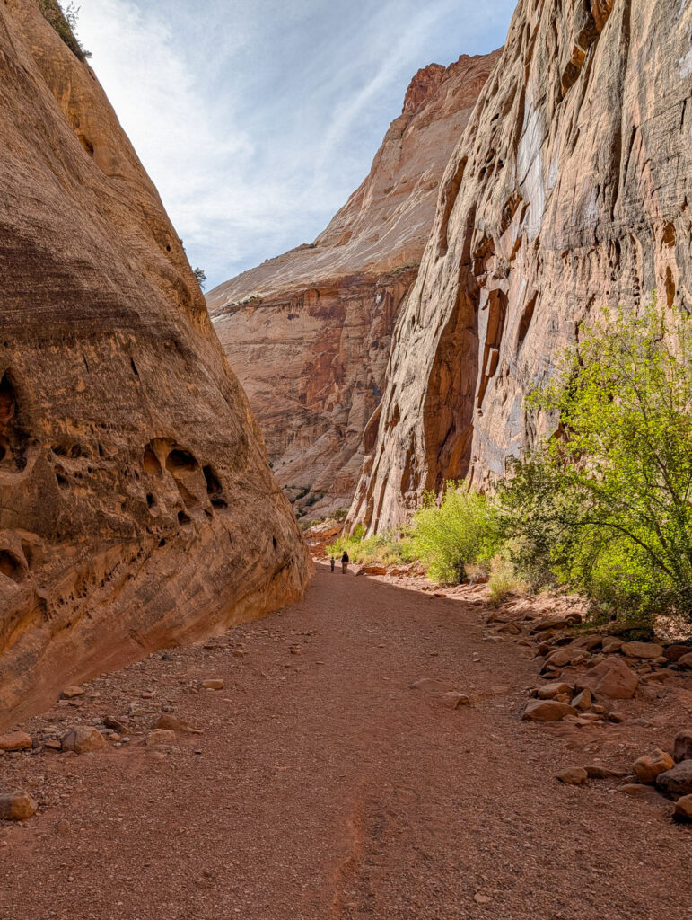 Two hikers walk the sandy floor of Grand Wash as towering red sandstone walls rise on either side in Capitol Reef.