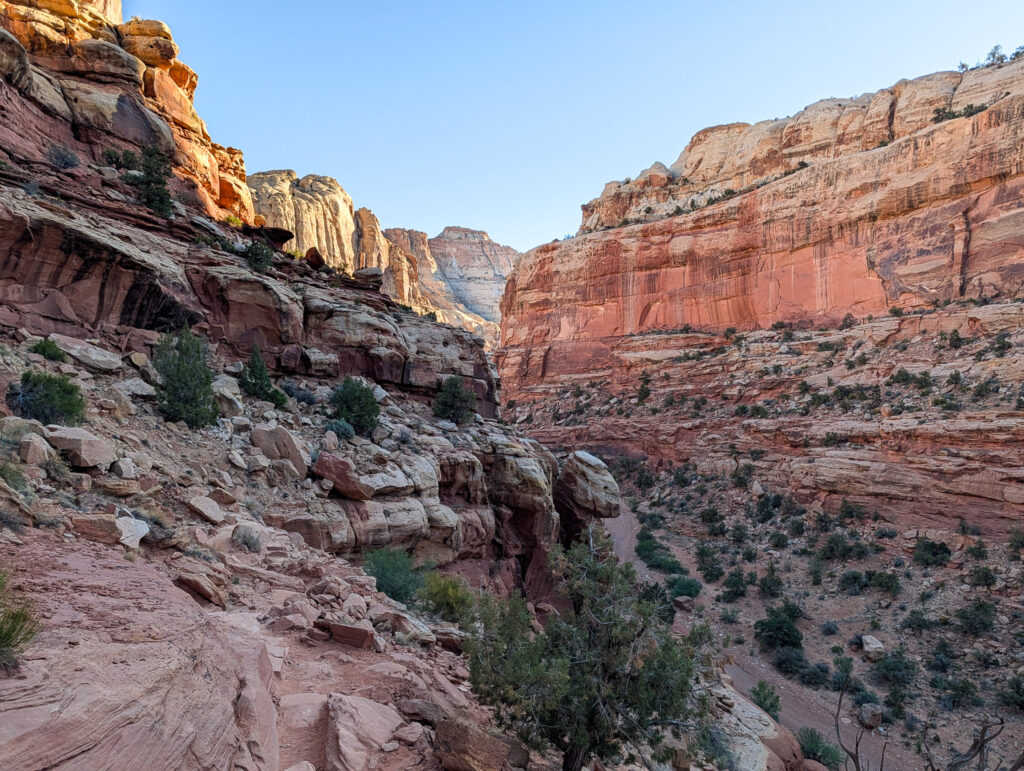 Hiker's view along Grand Wash Trail looking up toward towering Wingate sandstone cliffs in Capitol Reef National Park.
