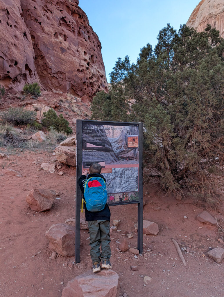 A young child stands on a rock to read the Grand Wash and Cassidy Arch trailhead sign in Capitol Reef National Park.