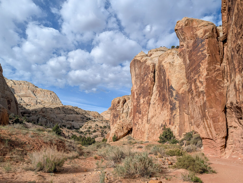 Looking west along Cohab Canyon Trail, towering Wingate sandstone cliffs streaked with desert varnish rise above red sandy soil and sparse sagebrush.