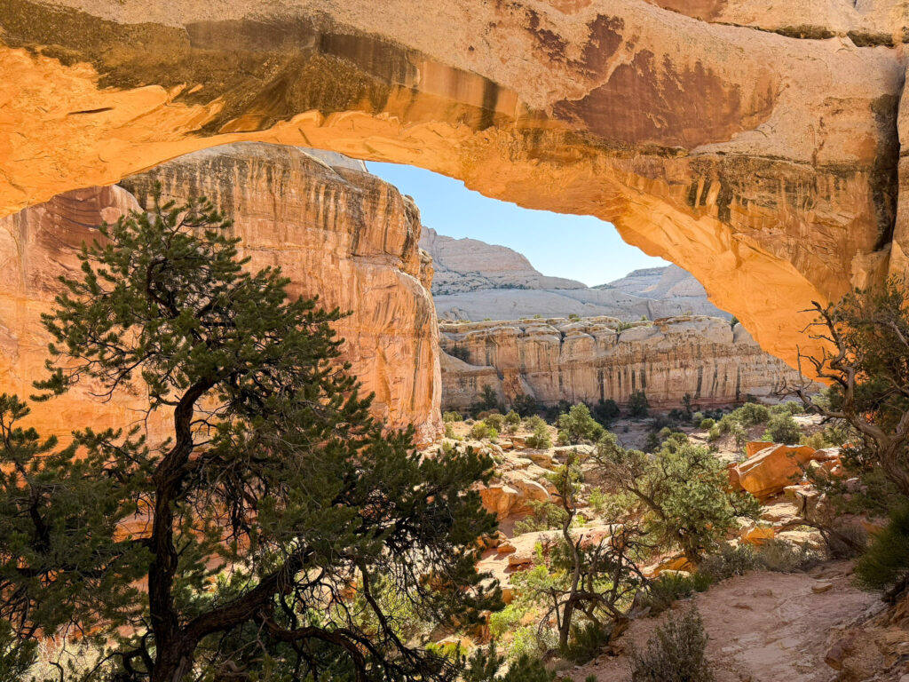 View through Hickman Bridge's sandstone arch framing layered cream and orange canyon cliffs under a clear blue sky.