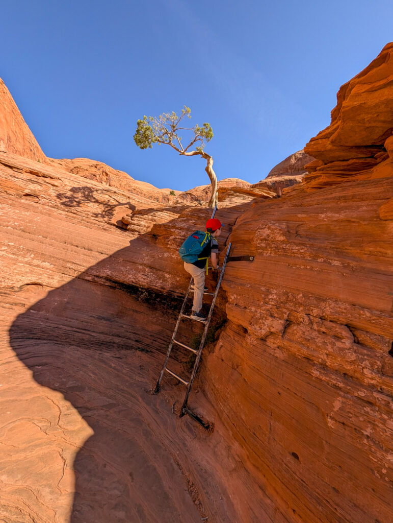 Hiker in a red helmet climbs a metal ladder bolted into narrow Navajo sandstone on the Corona Arch Trail near Moab.