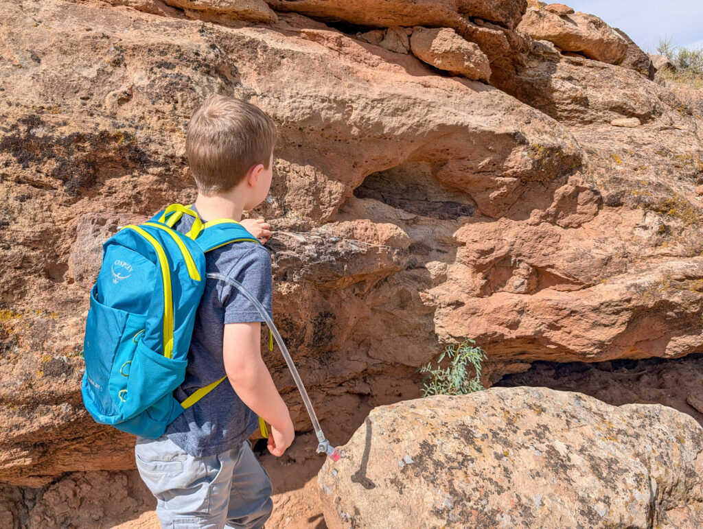 Young child with Osprey hydration pack examines fossilized dinosaur leg bones in sandstone at mill creek canyon dinosaur trail near Moab