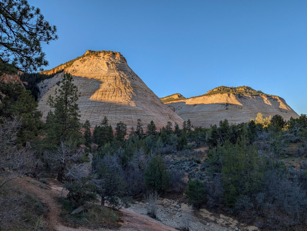 Checkerboard Mesa's cross-hatched Navajo sandstone face glows in early morning light above a pinyon-juniper woodland in Zion National Park.