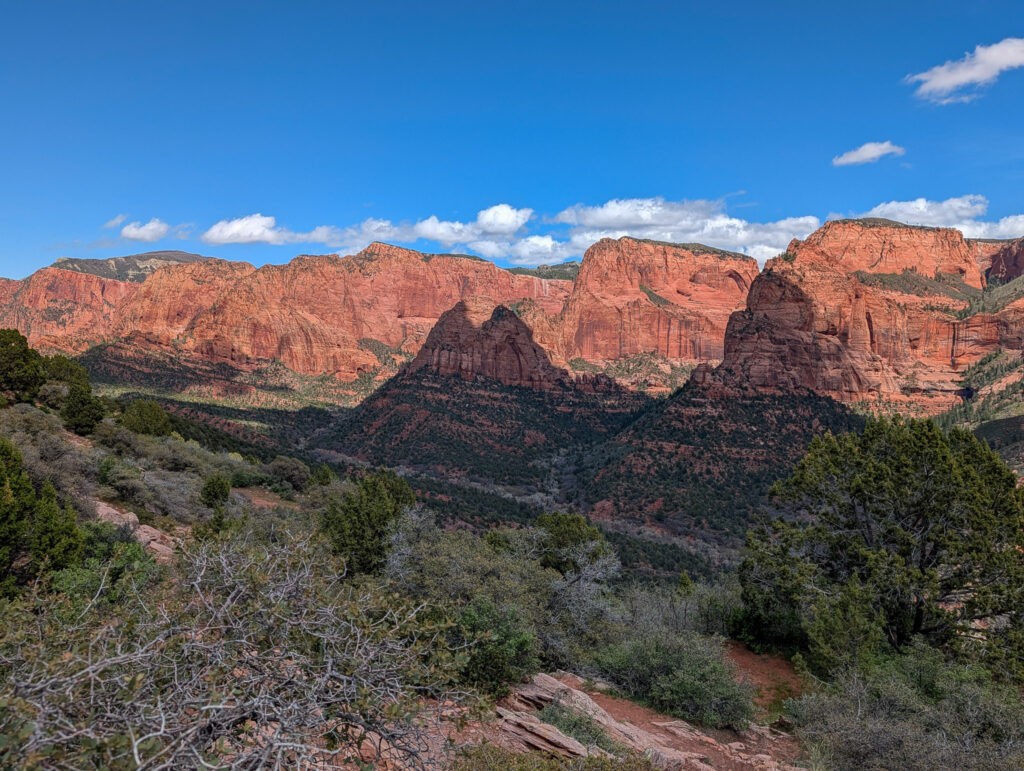 Panoramic view from a Kolob Canyons overlook in Zion National Park, with red Navajo sandstone cliffs, finger canyons, and juniper-dotted canyon floor under a midday sky.