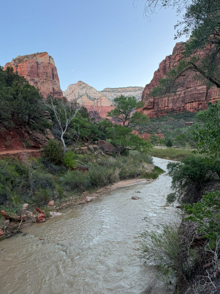 Looking upstream along the silty Virgin River as it winds through Zion Canyon, flanked by towering red Navajo sandstone cliffs and cottonwood-lined banks.