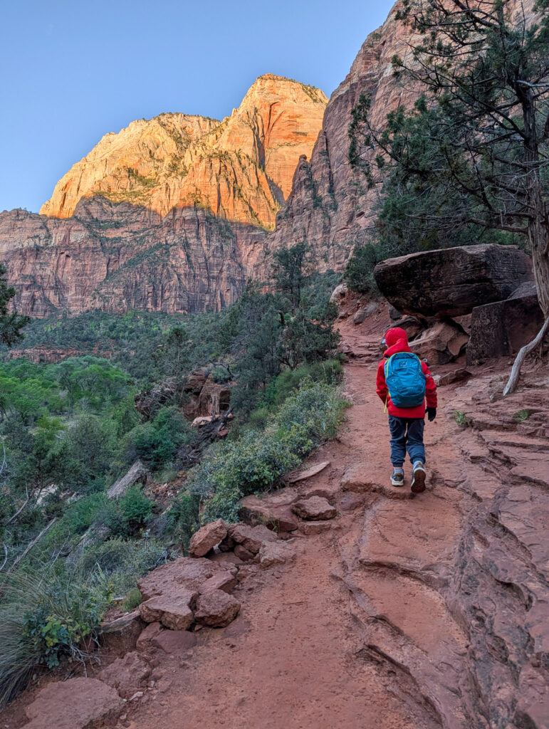 A young child in a red jacket climbs the rocky switchbacks of Angels Landing Trail at Zion, with warm alpenglow lighting the towering sandstone cliffs above.