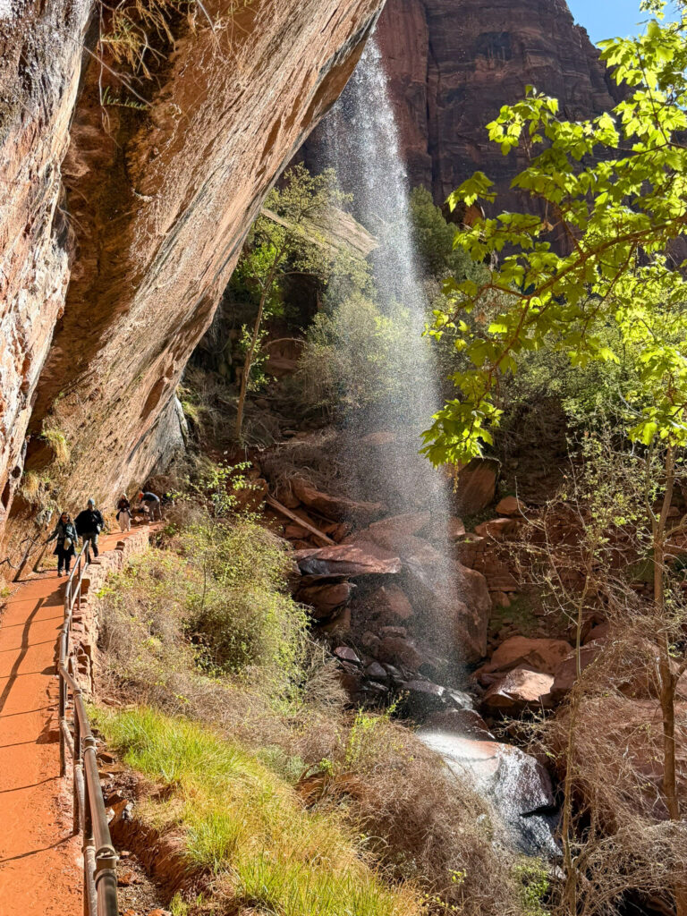 A waterfall cascades down a sandstone cliff beside the paved Lower Emerald Pools Trail in Zion National Park, with hikers passing beneath a red-rock overhang.