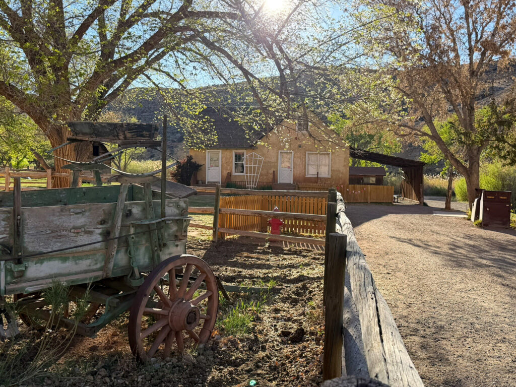 Warm late-afternoon light bathes the Gifford House and a vintage wooden wagon parked beside its picket fence in Capitol Reef's Fruita district.