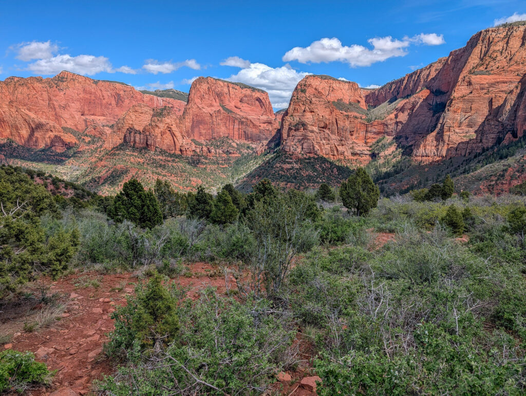 Wide panorama of the Kolob Canyons finger canyons with red sandstone walls and pinyon-juniper foreground from the Timber Overlook.