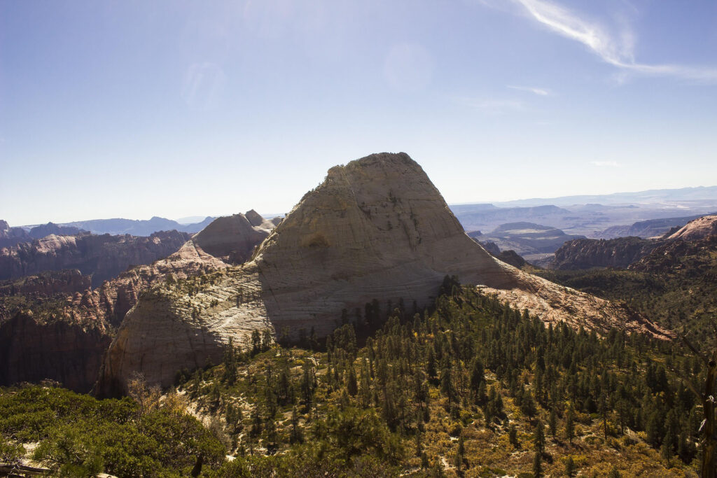 Birds eye view of a sharp ridge of a white rock mountain surrounded by rustic pine forest.