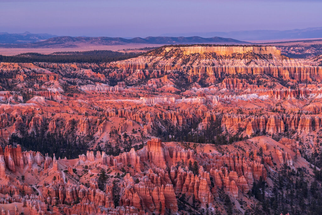 Elevated view of Bryce Canyon's amphitheater at twilight, showing dense orange and pink hoodoos interspersed with conifers along the Fairyland Loop trail, with a flat-topped mesa and distant mountains beyond.