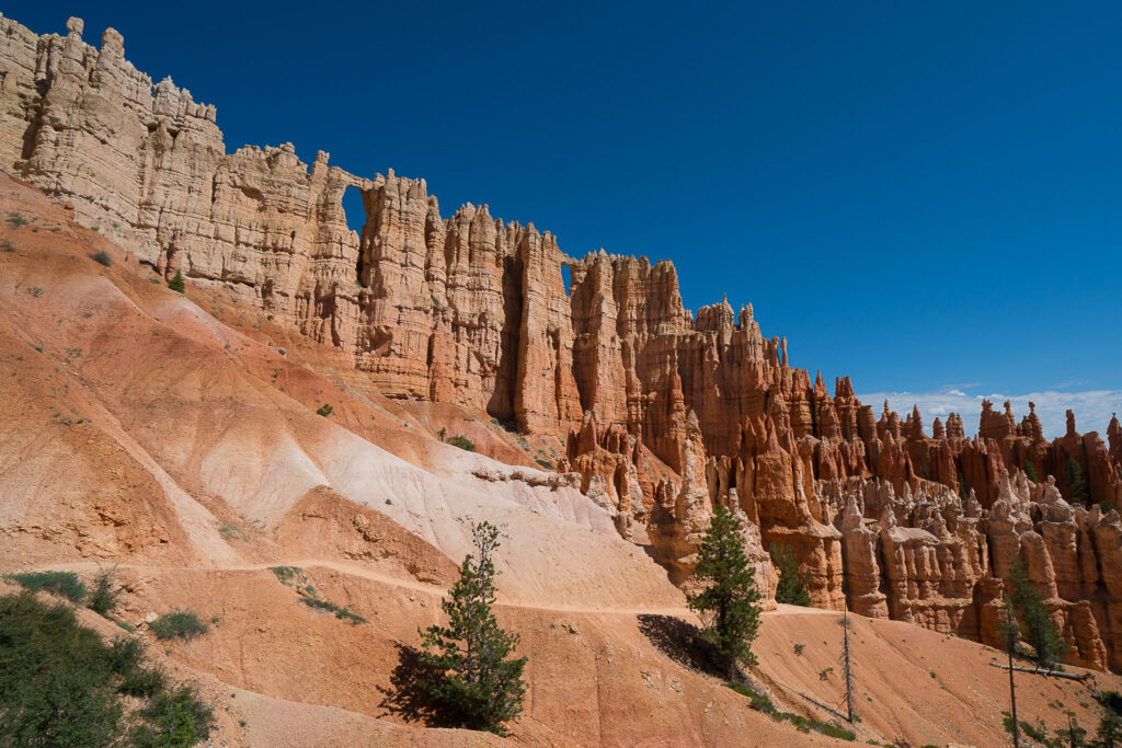 Wall of Windows and densely packed orange and red hoodoos rise above eroded slopes along the Peekaboo Loop in Bryce Canyon