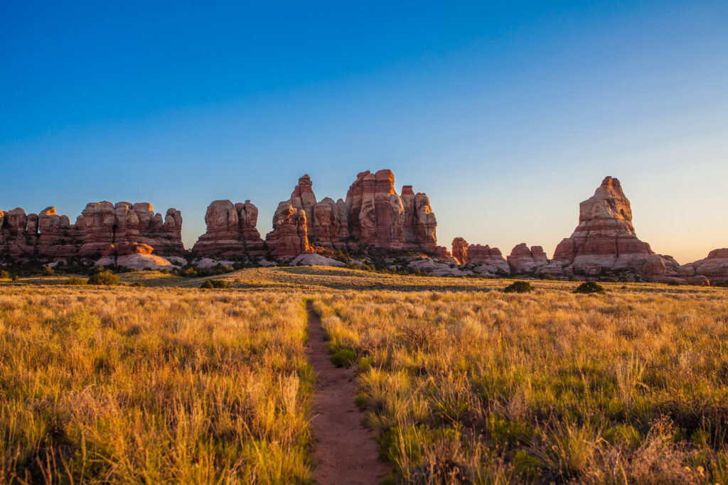 Narrow dirt trail through golden grassland leads toward towering red and cream sandstone spires at Chesler Park in Canyonlands, under a deep blue sky with warm horizon light.