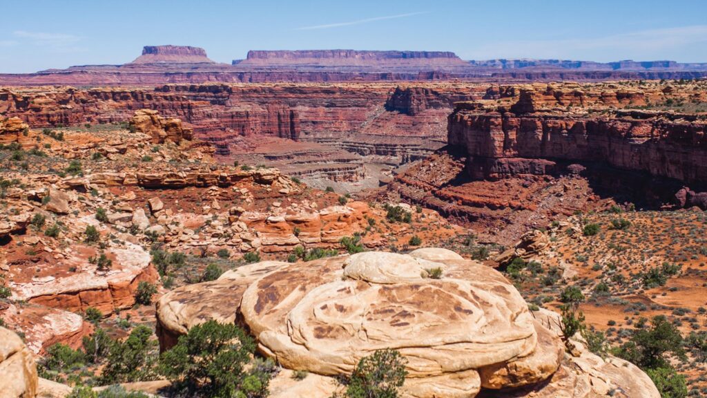 Weathered slickrock at Canyonlands stretches across the foreground, its pale sandstone darkened by desert varnish, with layered canyon walls and distant mesas rising under a clear blue sky.