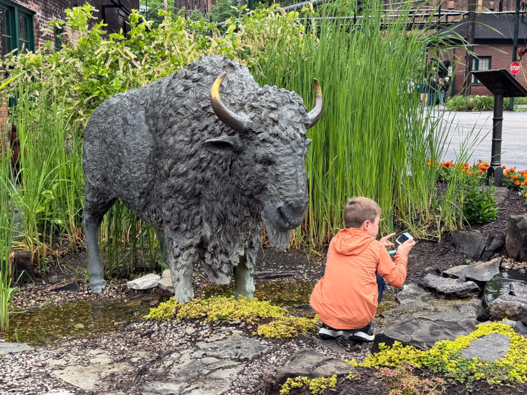 A young boy in an orange hoodie crouches to photograph the large bronze bison sculpture among ornamental grasses and rocky landscaping at Buffalo Trace Distillery.