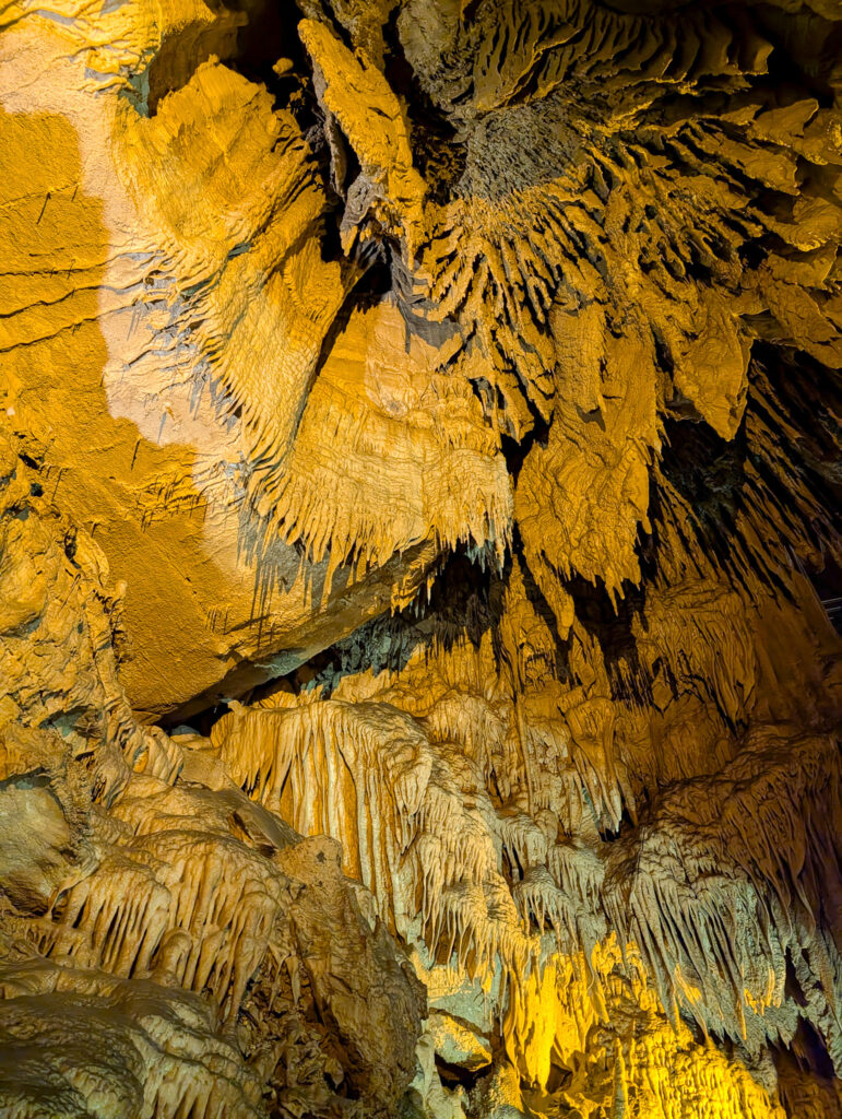 Domes and Dripstones Tour at Mammoth Cave, with densely packed orange-gold stalactites and cascading calcium carbonate drapery covering the cave ceiling and walls, illuminated by warm artificial lighting.