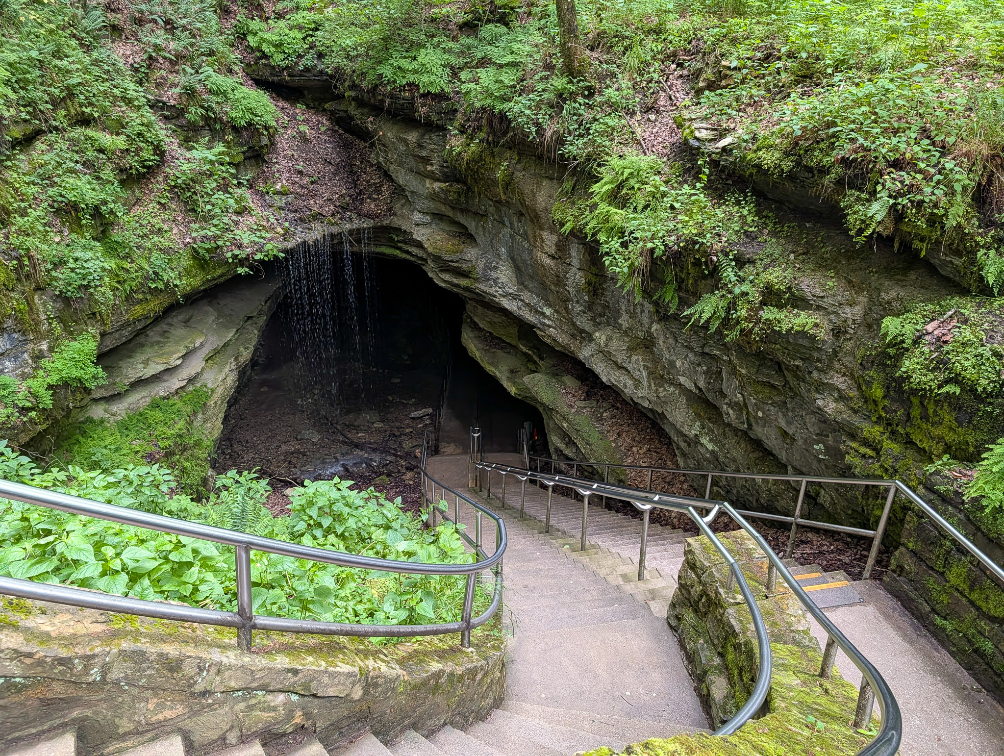 Stone staircase with metal railings descends toward the large natural entrance of Mammoth Cave, where water drips from a limestone overhang into the dark interior, surrounded by lush ferns and vegetation.