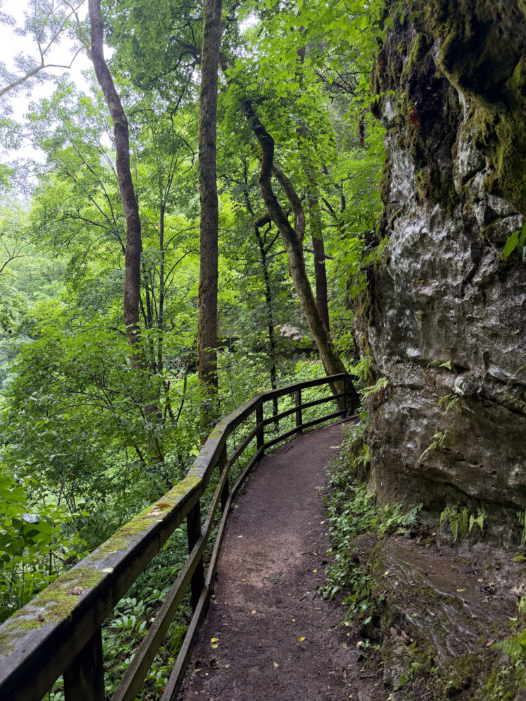 Cedar Sink Trail at Mammoth Cave, a narrow dirt path curving along a mossy limestone cliff with a weathered wooden railing guarding the drop-off into lush deciduous forest below.