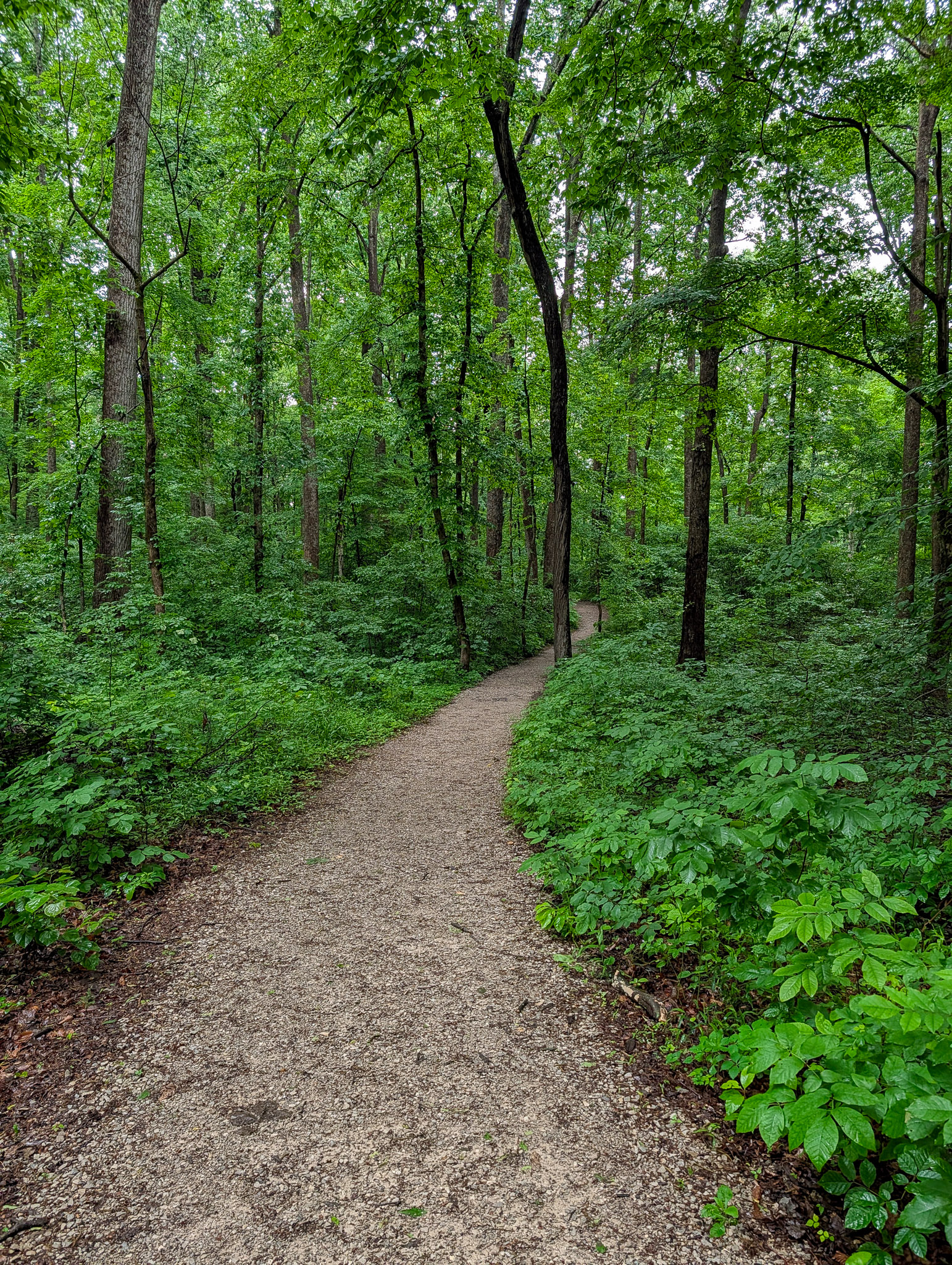Top Hikes in Mammoth Cave