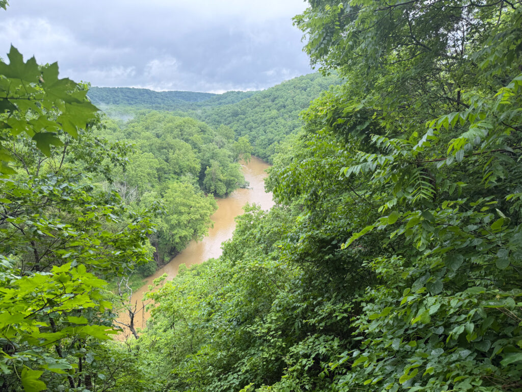 Green River Bluffs overlook at Mammoth Cave, with the muddy brown river winding through a dense deciduous forest valley beneath an overcast sky.