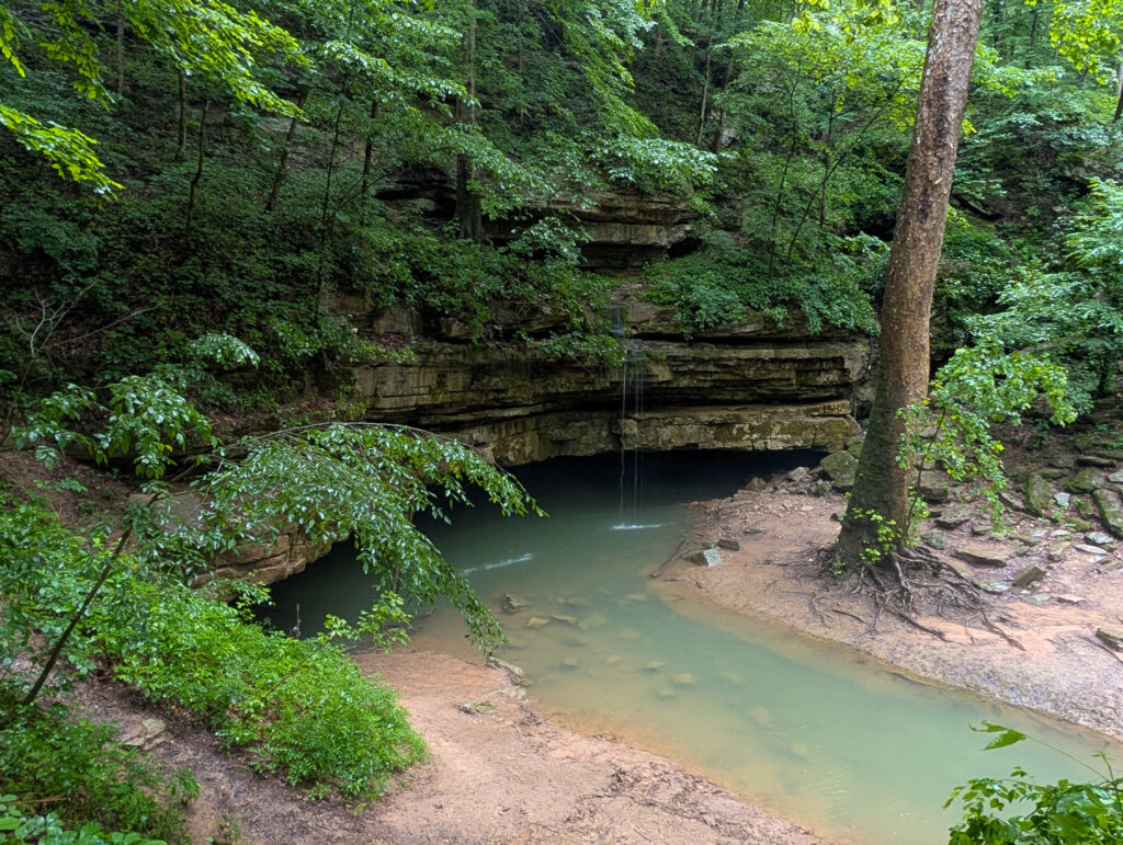 River Styx at Mammoth Cave, where a shallow turquoise pool flows into a large dark limestone cave opening, framed by a thin waterfall, wooded hillsides, and exposed tree roots along sandy banks.