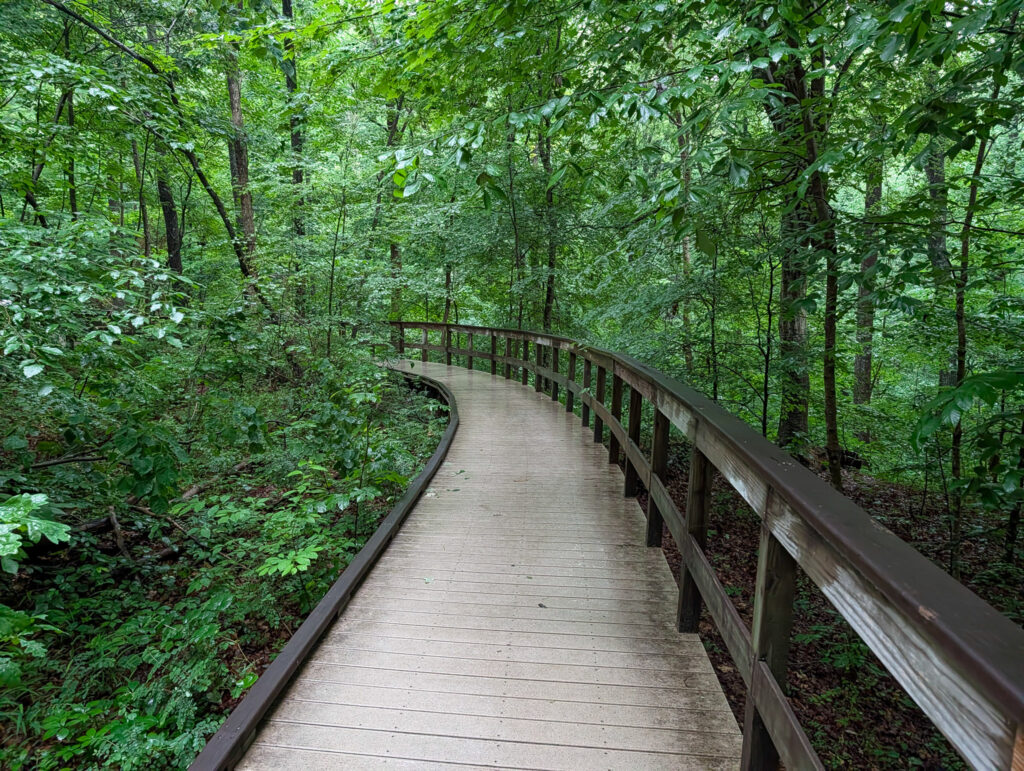 A slightly damp wooden boardwalk curves through dense green deciduous forest near Sand Cave at Mammoth Cave, with leafy undergrowth and a closed tree canopy overhead.