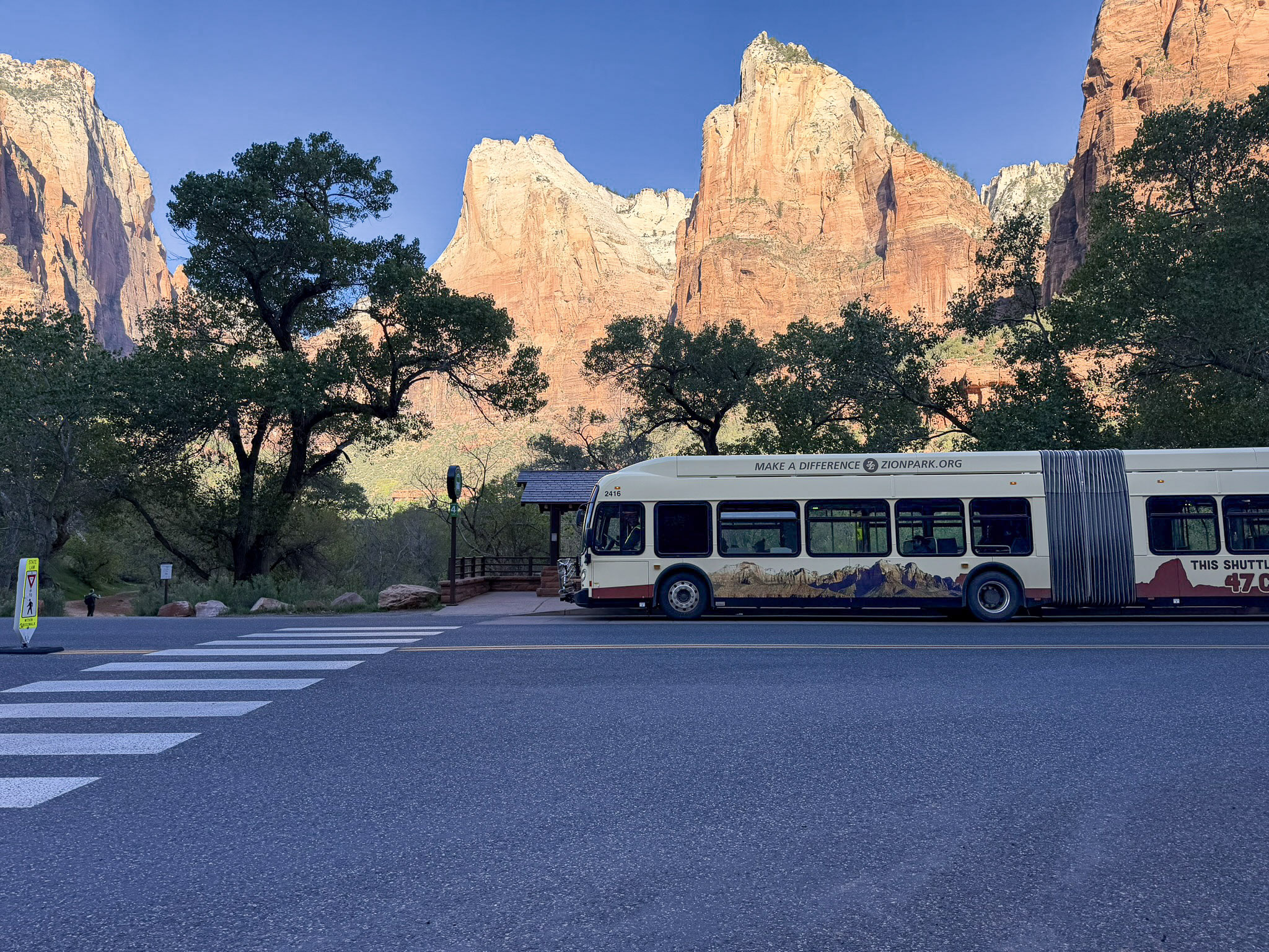 Zion National Park Shuttle Guide