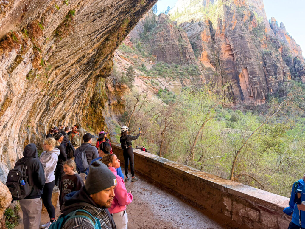 A crowded ranger talk fills the Weeping Rock alcove with hikers under the dripping seep in Zion National Park.