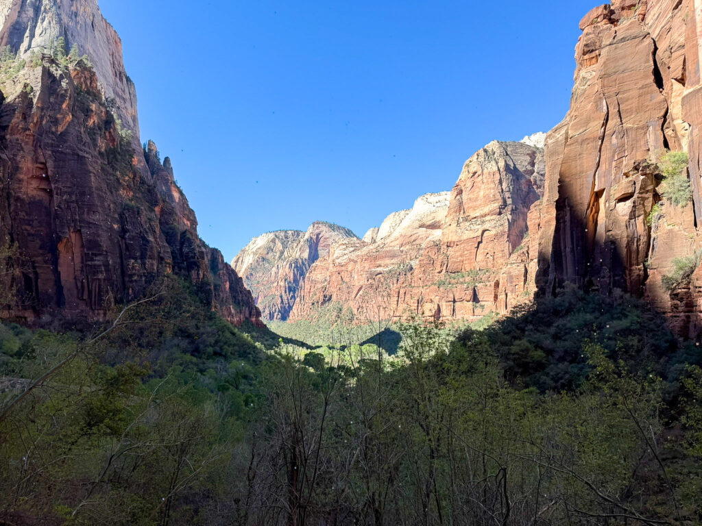 View south down Zion Canyon between massive red sandstone walls from the Weeping Rock trail viewpoint.